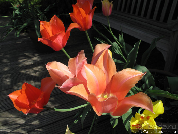 Херлен.... и почему он не в моде.