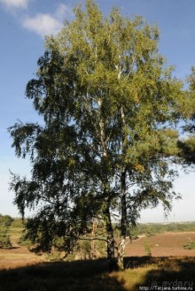 Секретная пробежка за грибами