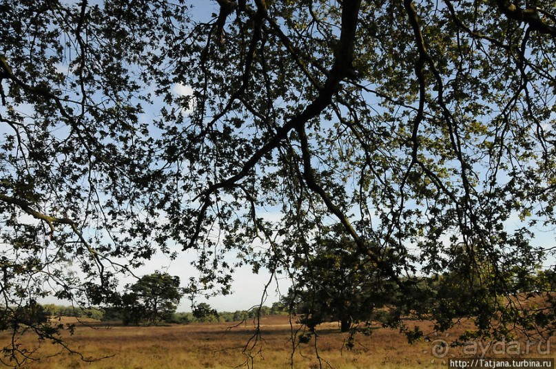 Секретная пробежка за грибами