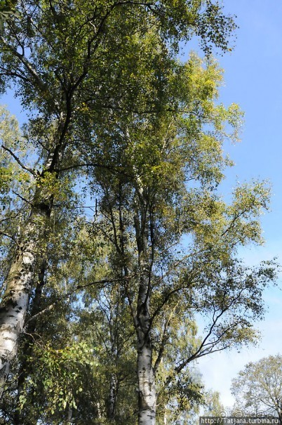 Секретная пробежка за грибами