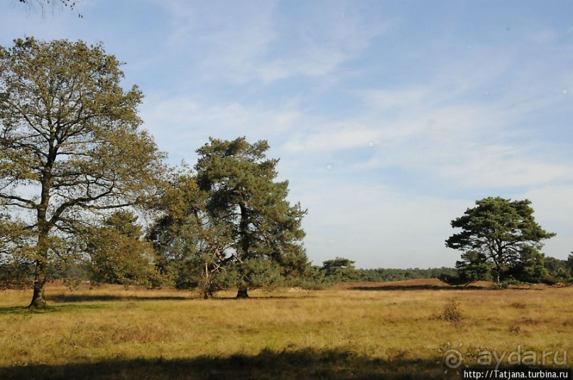 Секретная пробежка за грибами