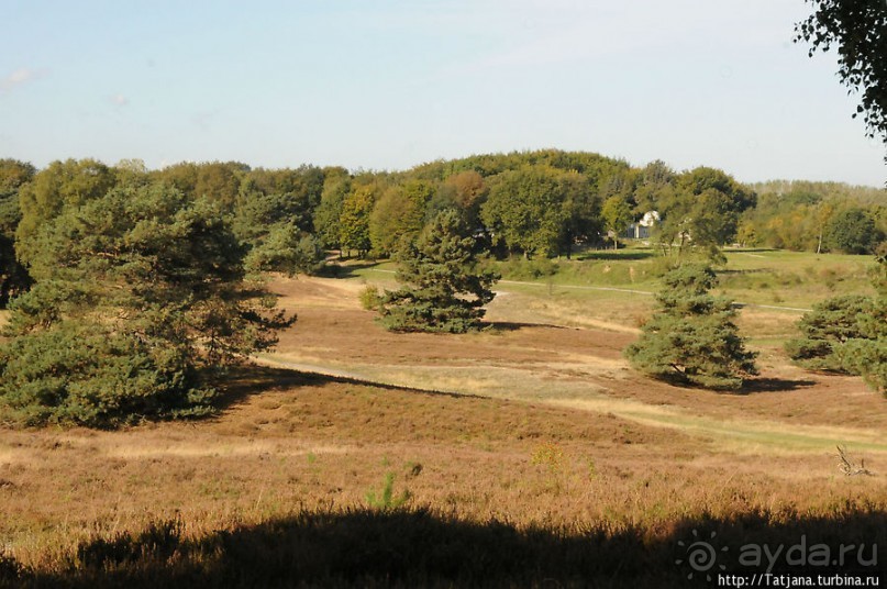 Секретная пробежка за грибами
