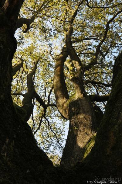 Секретная пробежка за грибами