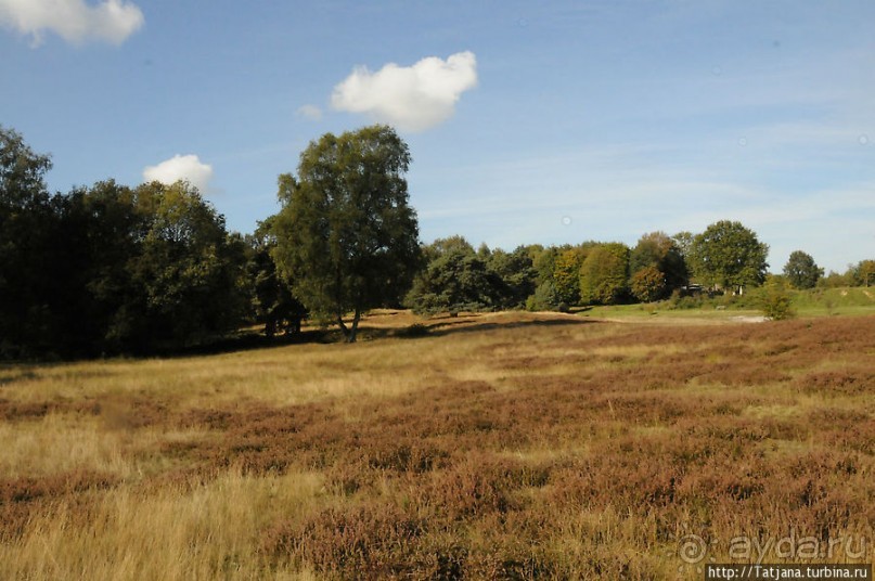 Секретная пробежка за грибами
