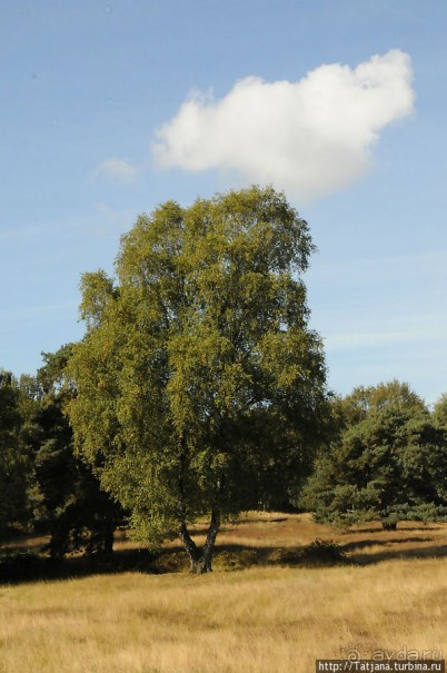 Секретная пробежка за грибами