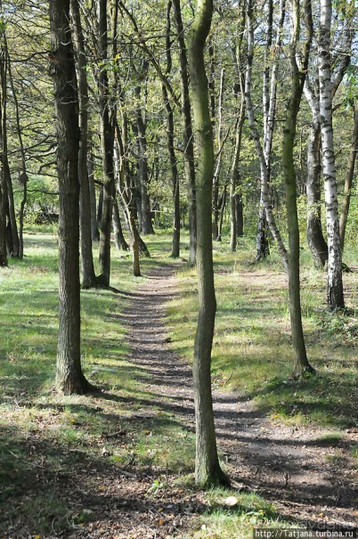 Секретная пробежка за грибами