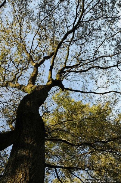 Секретная пробежка за грибами