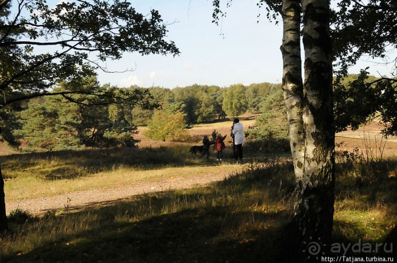 Секретная пробежка за грибами