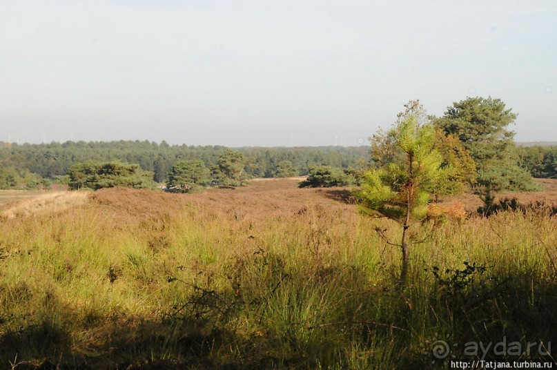 Секретная пробежка за грибами