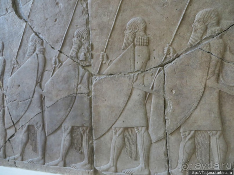 Предлагаю культурно — спортивное ориентирование по Берлину