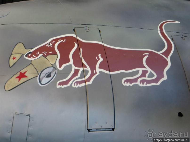 Предлагаю культурно — спортивное ориентирование по Берлину