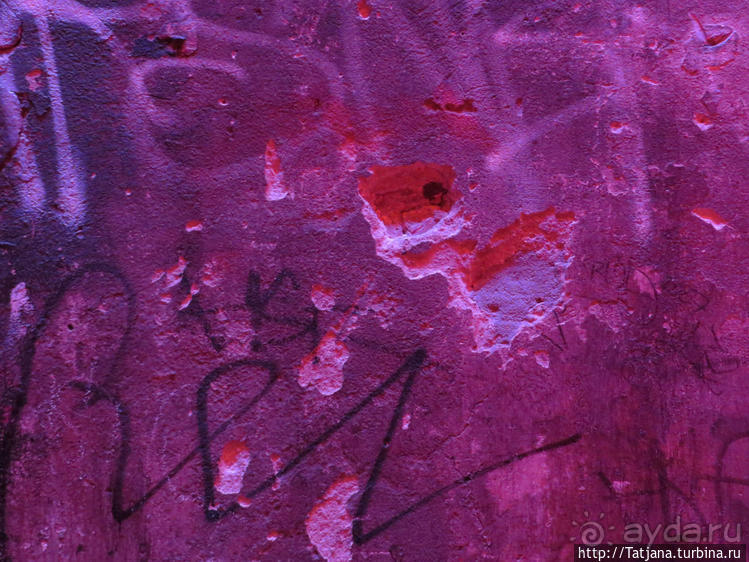 Предлагаю культурно — спортивное ориентирование по Берлину