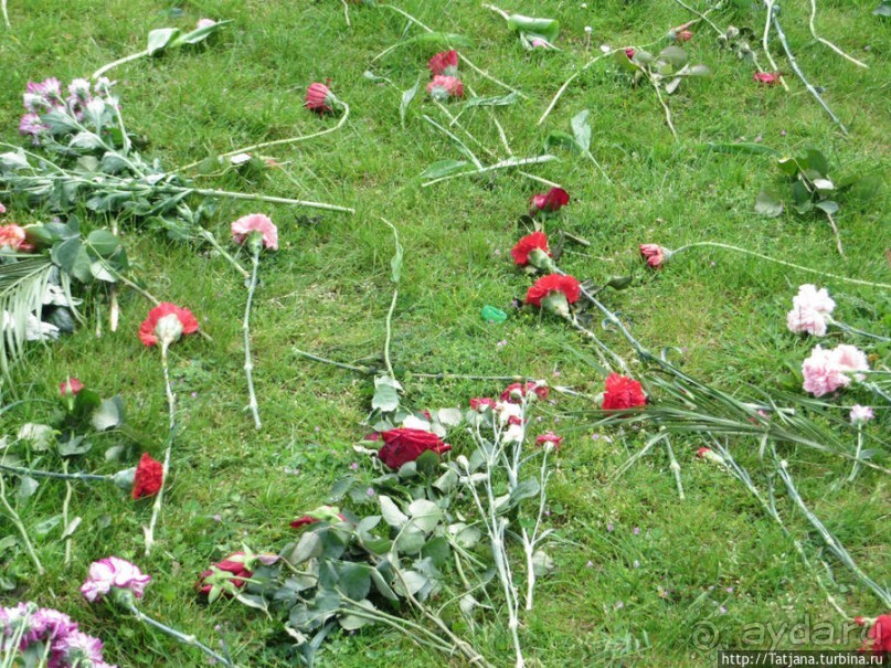 Предлагаю культурно — спортивное ориентирование по Берлину