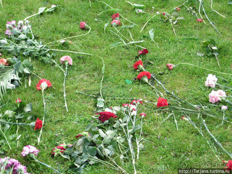 Предлагаю культурно — спортивное ориентирование по Берлину