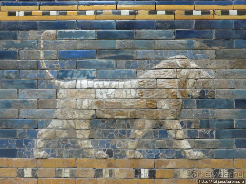 Предлагаю культурно — спортивное ориентирование по Берлину