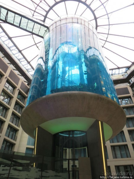 Предлагаю культурно — спортивное ориентирование по Берлину