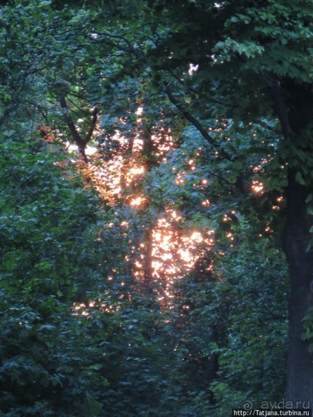 Предлагаю культурно — спортивное ориентирование по Берлину