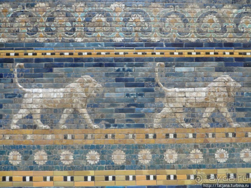 Предлагаю культурно — спортивное ориентирование по Берлину