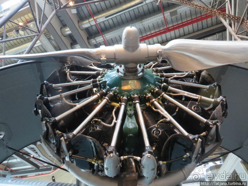 Предлагаю культурно — спортивное ориентирование по Берлину