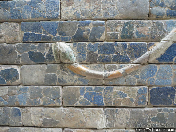 Предлагаю культурно — спортивное ориентирование по Берлину