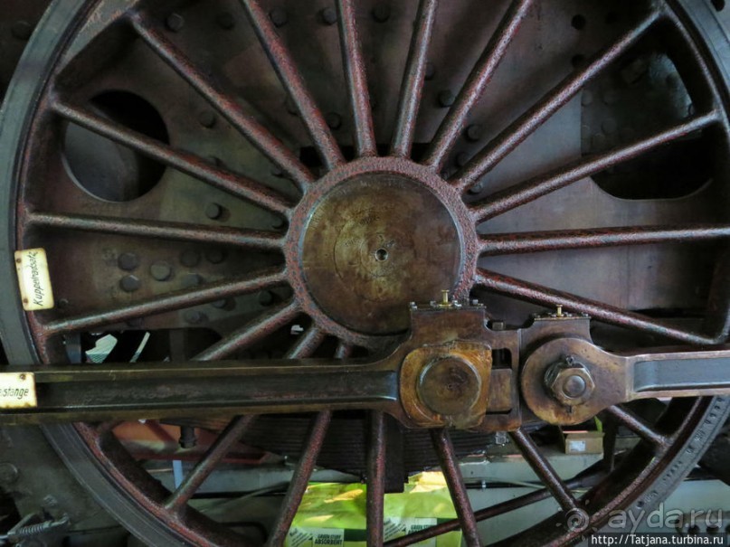 Предлагаю культурно — спортивное ориентирование по Берлину