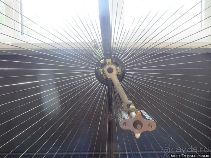 Предлагаю культурно — спортивное ориентирование по Берлину