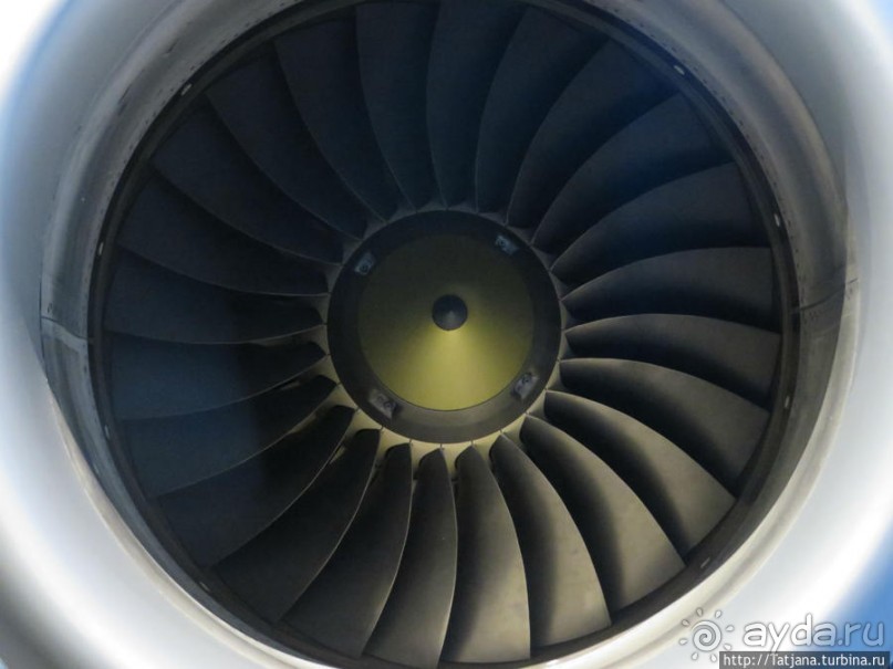 Предлагаю культурно — спортивное ориентирование по Берлину