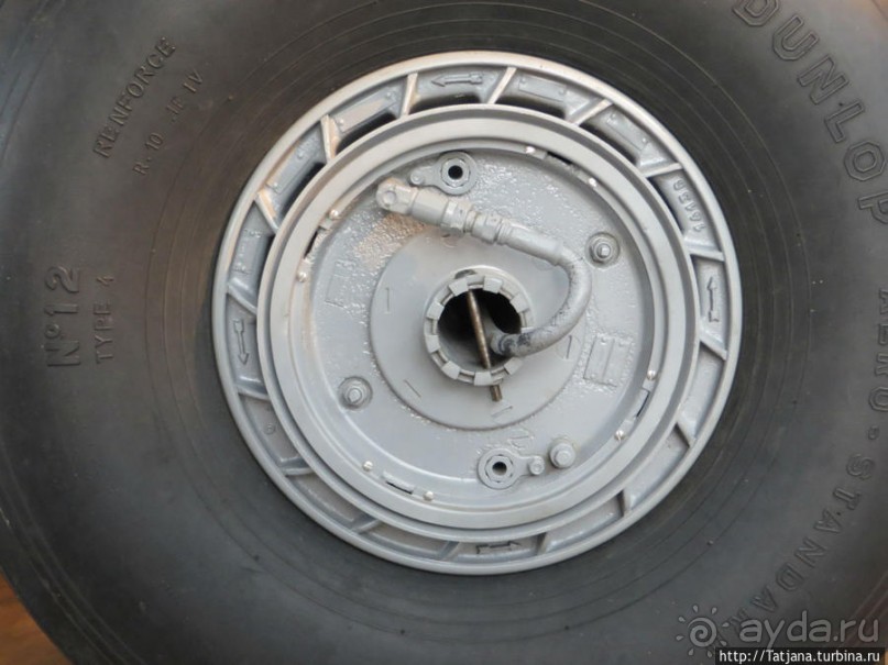 Предлагаю культурно — спортивное ориентирование по Берлину