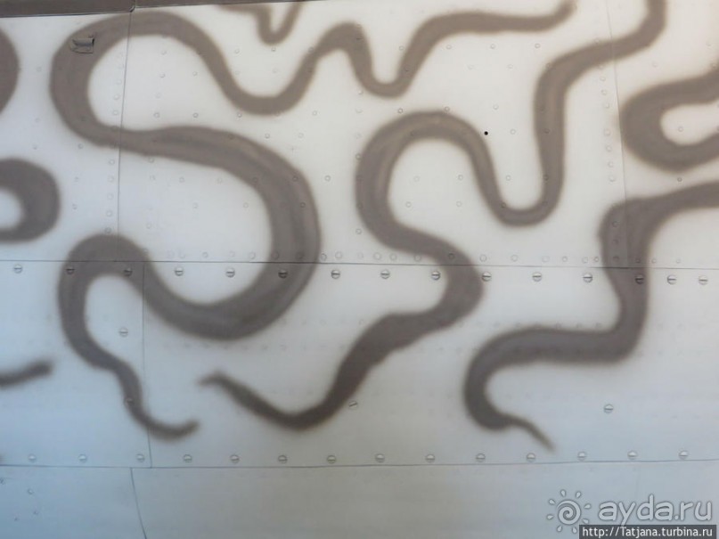 Предлагаю культурно — спортивное ориентирование по Берлину