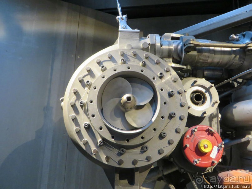 Предлагаю культурно — спортивное ориентирование по Берлину