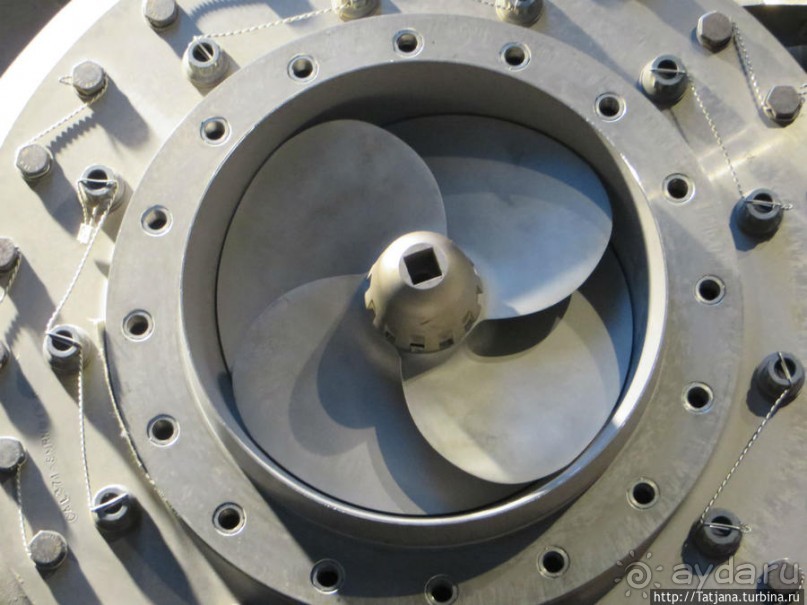 Предлагаю культурно — спортивное ориентирование по Берлину