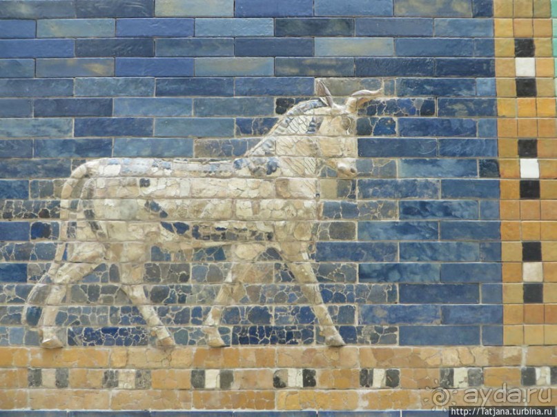 Предлагаю культурно — спортивное ориентирование по Берлину