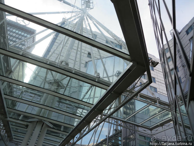 Предлагаю культурно — спортивное ориентирование по Берлину