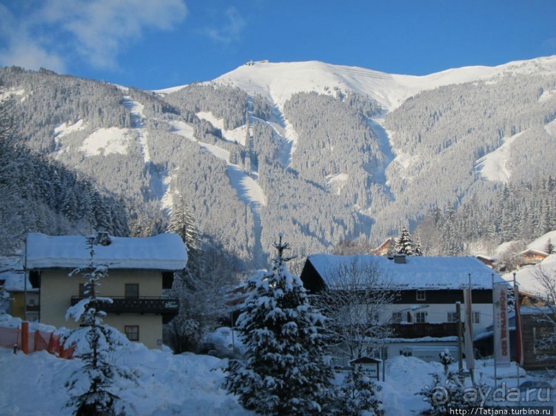 Альбом отзыва "Отель Der Waldhof - нормально"