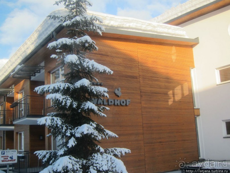 Альбом отзыва "Отель Der Waldhof - нормально"