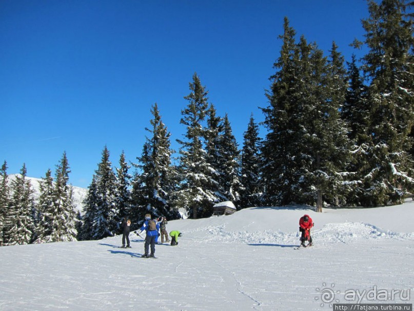 Альбом отзыва "Отель Der Waldhof - нормально"