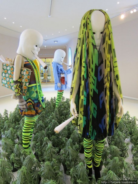 Гронингер Музей и его экспонаты.