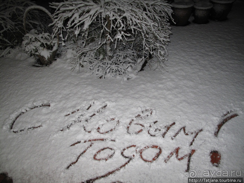 Под снежным одеялом...
