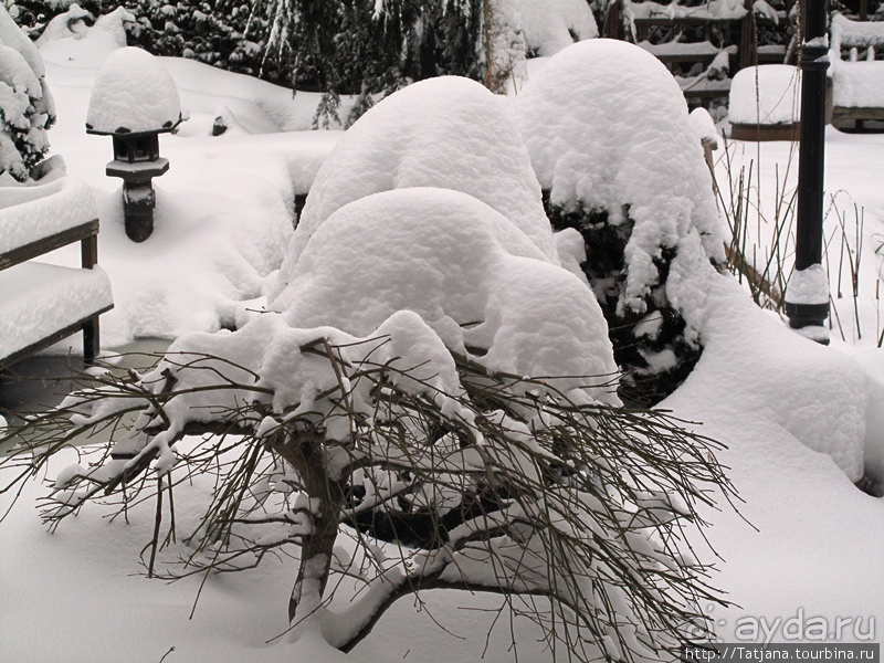 Под снежным одеялом...