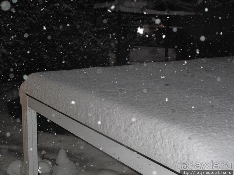 Под снежным одеялом...