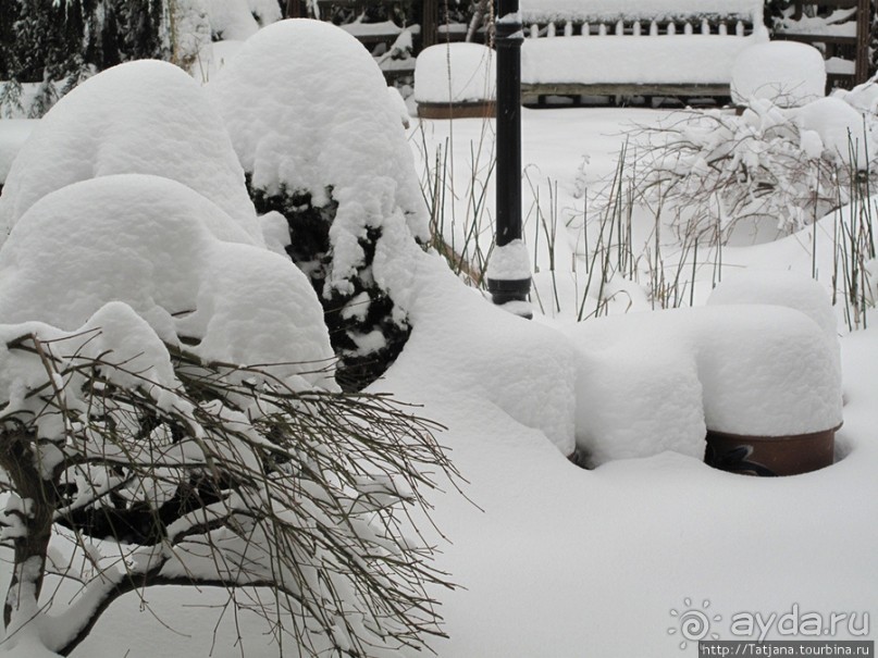 Под снежным одеялом...