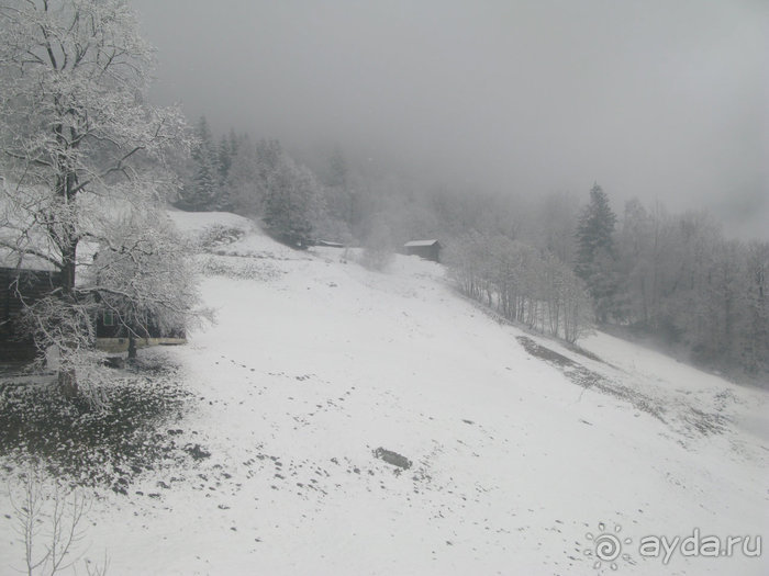 Швейцарские Альпы и чистый горный воздух