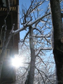 Швейцарские Альпы и чистый горный воздух