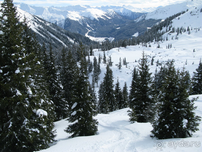 Швейцарские Альпы и чистый горный воздух