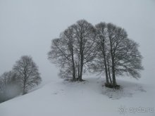 Швейцарские Альпы и чистый горный воздух