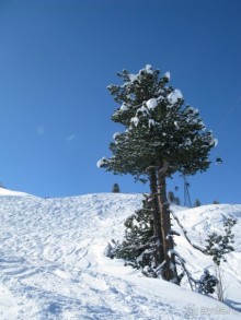 Швейцарские Альпы и чистый горный воздух