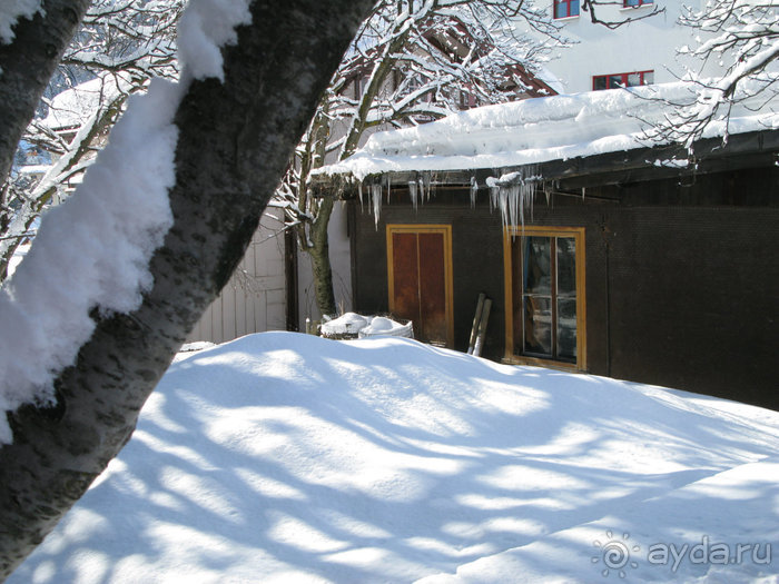 Швейцарские Альпы и чистый горный воздух