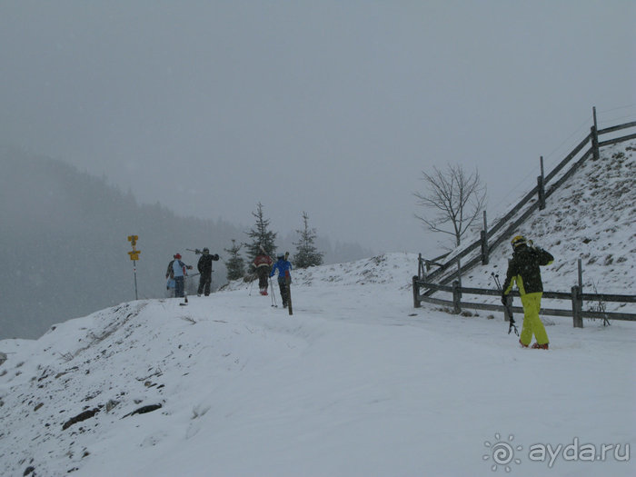 Швейцарские Альпы и чистый горный воздух