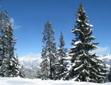 Швейцарские Альпы и чистый горный воздух