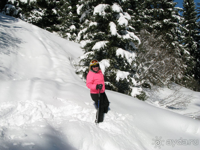 Швейцарские Альпы и чистый горный воздух
